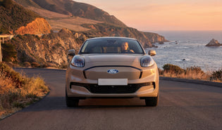 Cable de carga Ford Puma Gen-E