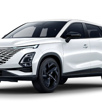 Cable de carga Chery Omoda 5