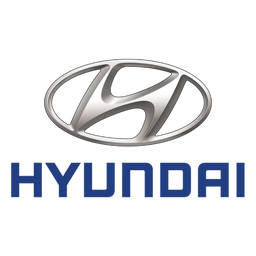 Cable de carga Hyundai