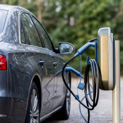 Voldt® Gancho para cable EV